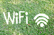 WiFi symbol on green grass
